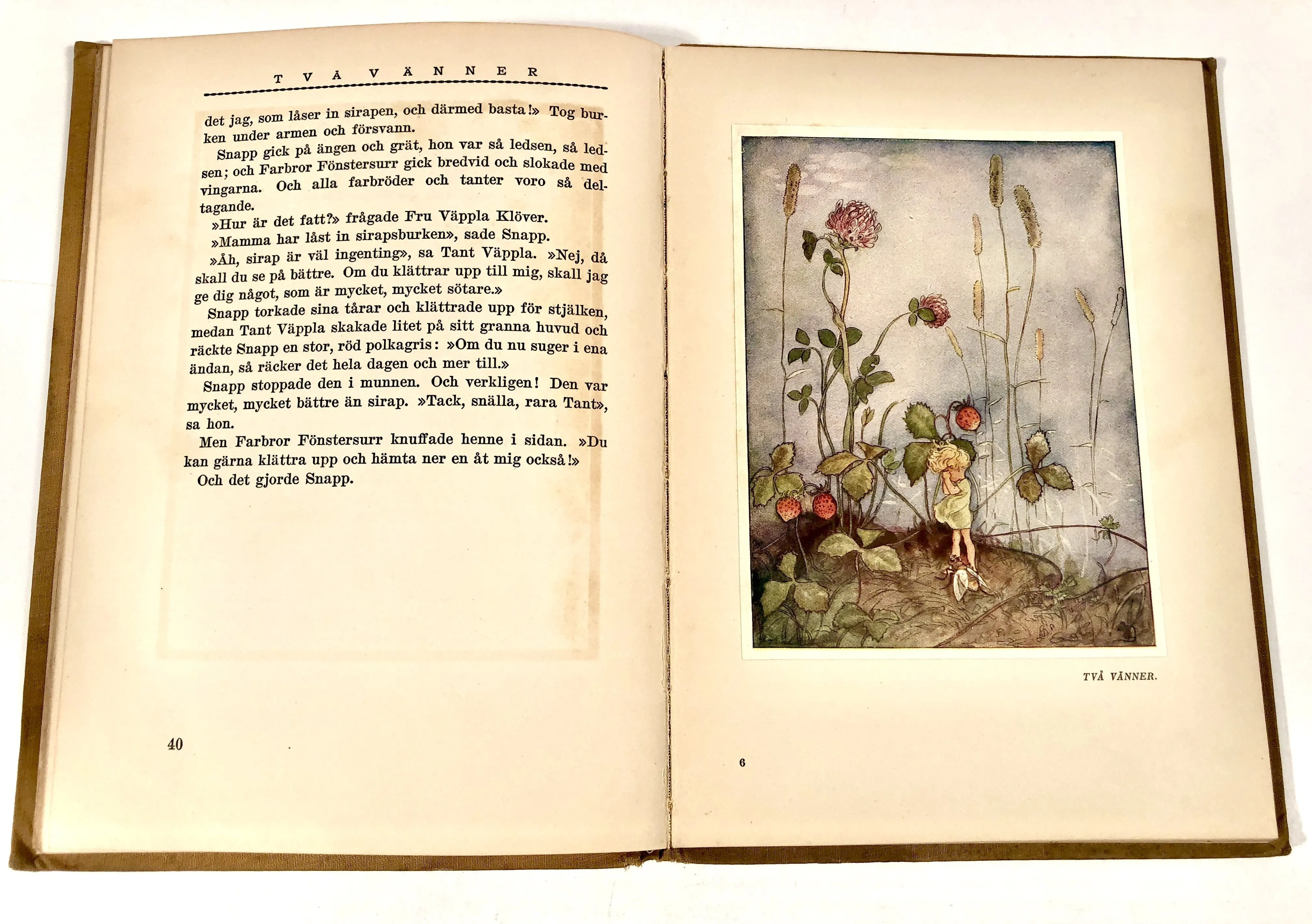 1926 Swedish Kid's Book THE TALE OF SNIP, SNAP, SNORUM || Vivi Laurent