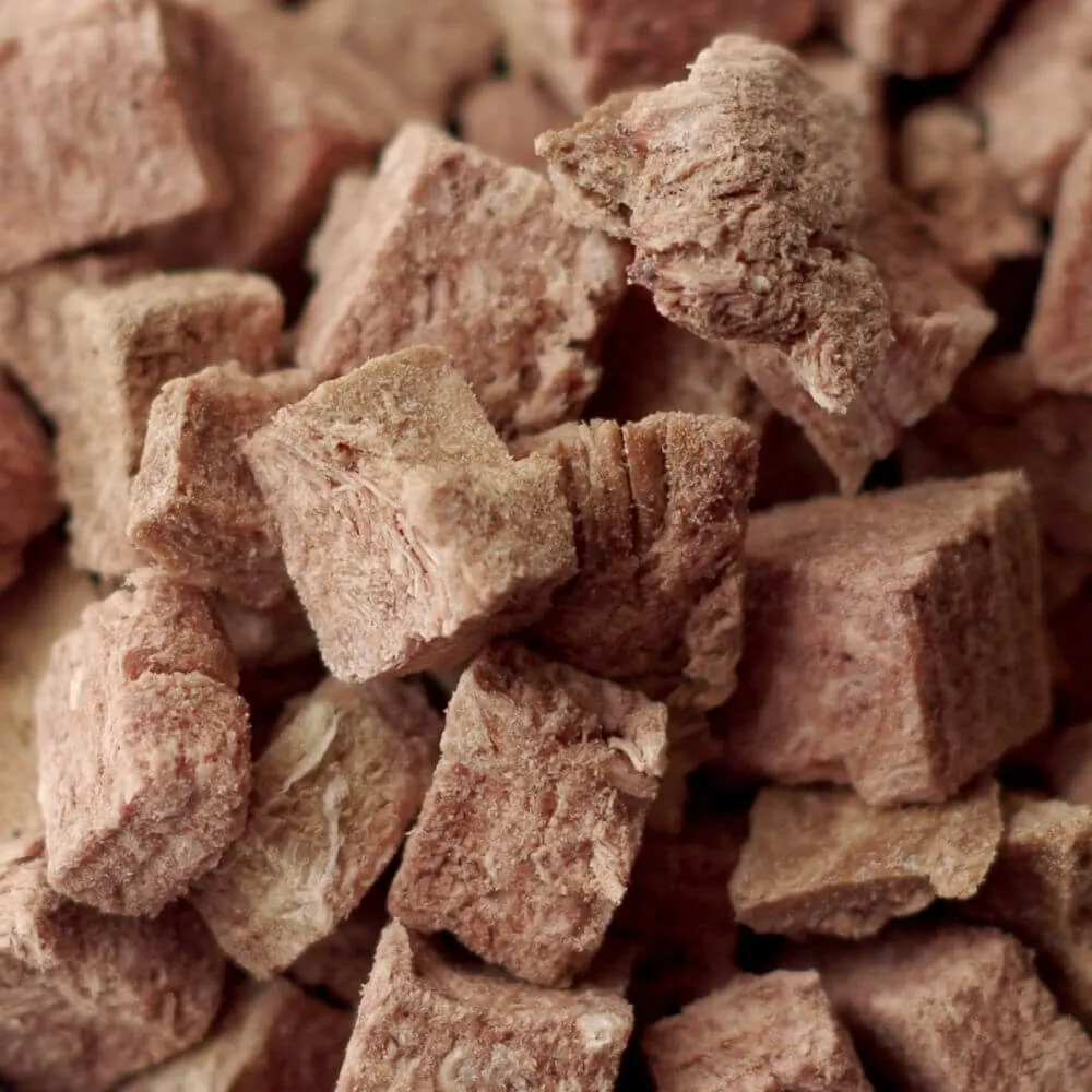 Rainy Day Foods Freeze-Dried Diced Beef 24 oz #10 Can - 24 Servings