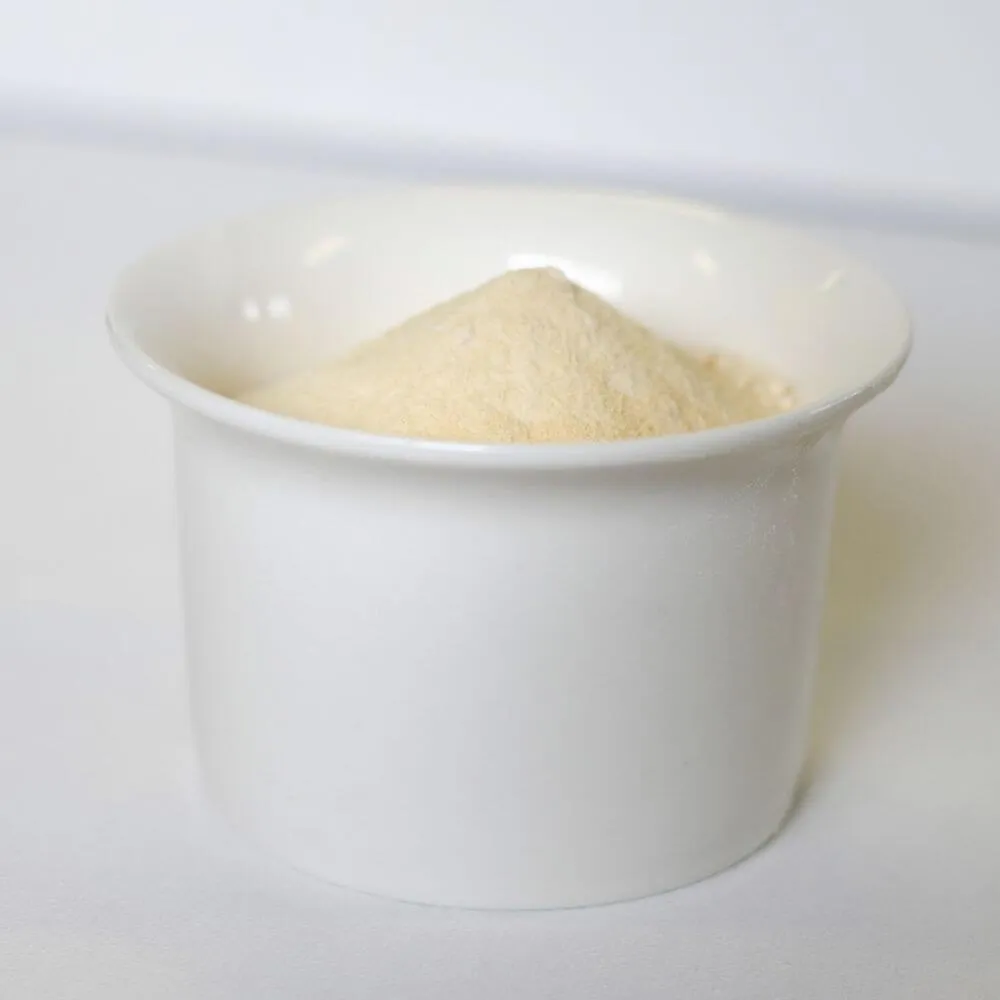 Rainy Day Foods Gluten-Free Honey Powder 65 oz #10 Can - 461 Servings