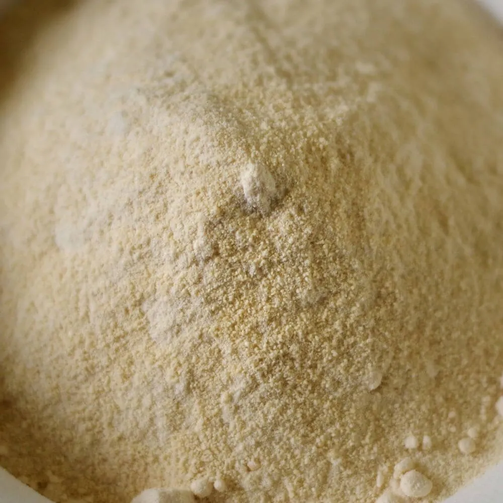 Rainy Day Foods Gluten-Free Honey Powder 65 oz #10 Can - 461 Servings
